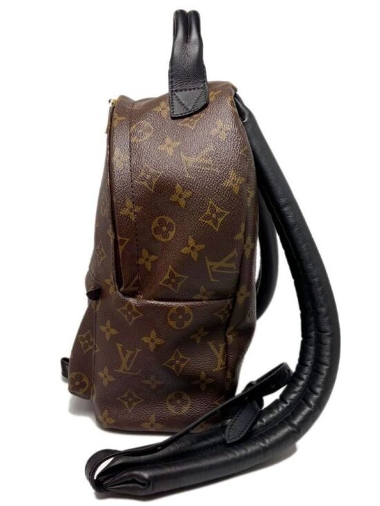 Louis Vuitton Backpack Monogram Palm Spring PM main image 15